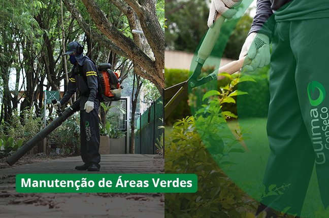 Manutenção de áreas verdes: O papel da terceirização em garantir a conservação desses espaços.