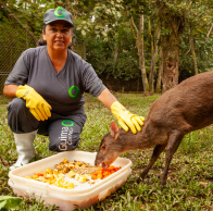 Tratamento de Animais