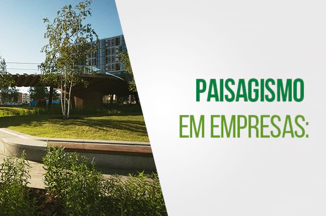 Paisagismo em Empresas: Como Transformar Espaços Corporativos em Ambientes Saudáveis e Bonitos